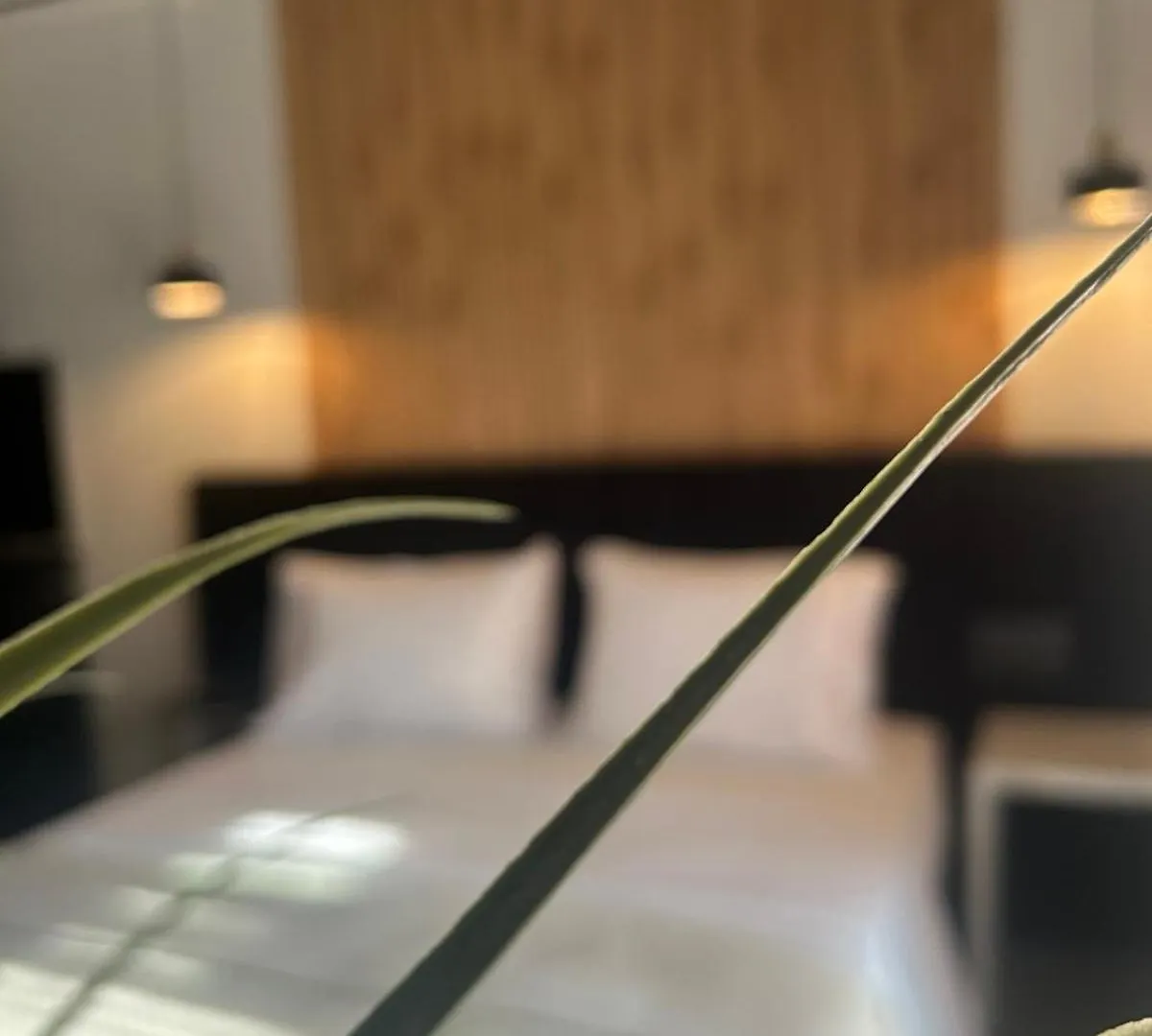 Cross Plaza Aparthotel Stavros
